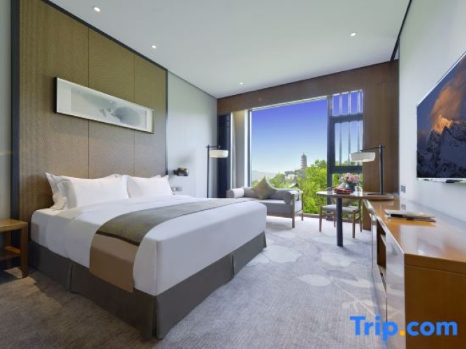 Standard Double room with city view