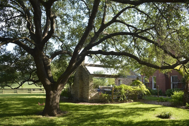 Southern Rose Ranch