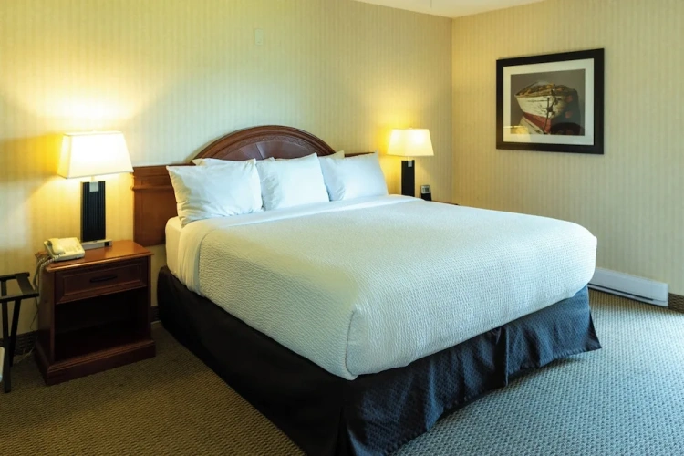1 Bedroom Double Suite with lake view