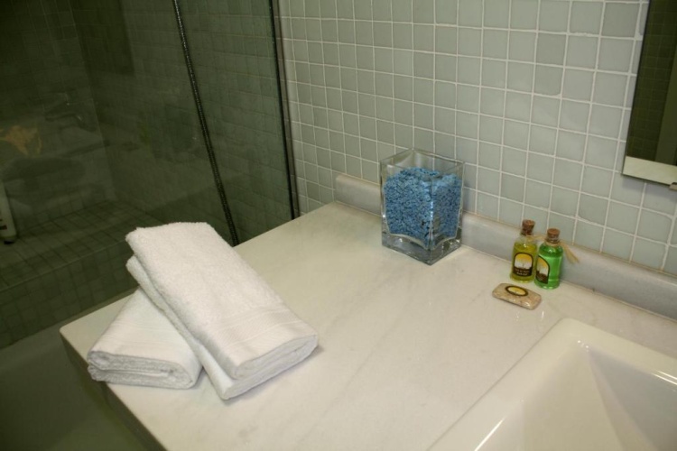 1 Bedroom Penthouse Apartment