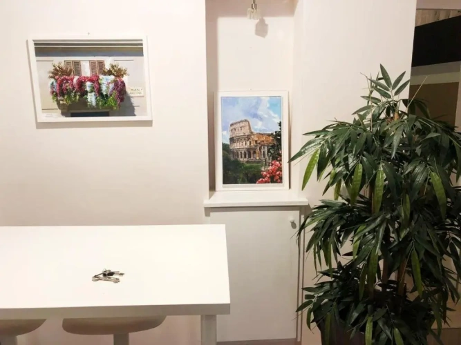 Superior Apartment