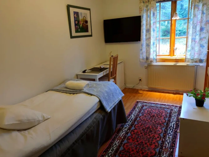Standard Twin room with view