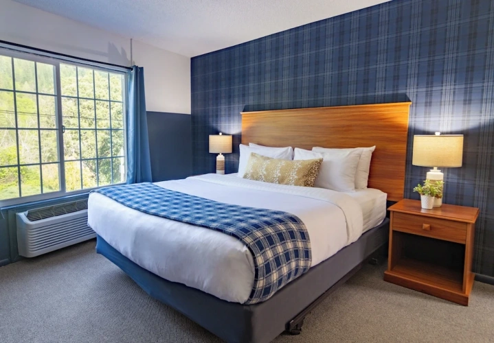 2 Bedrooms Premium Suite