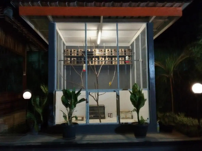 Wisma Lovebird