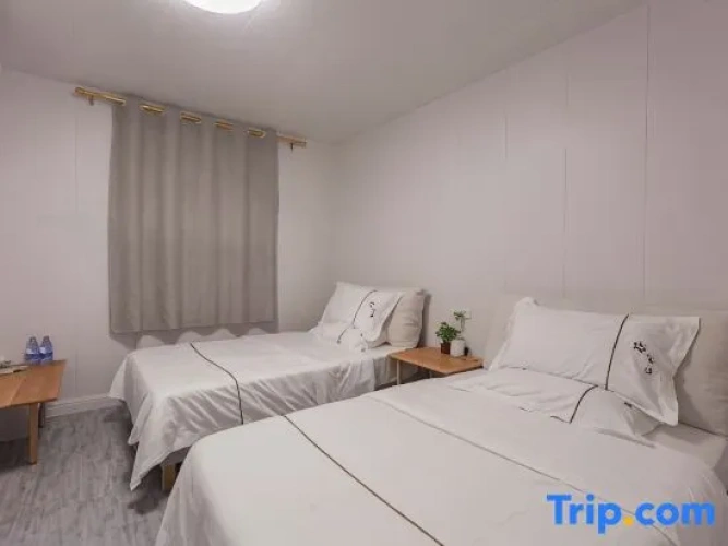 Standard Twin room with balcony