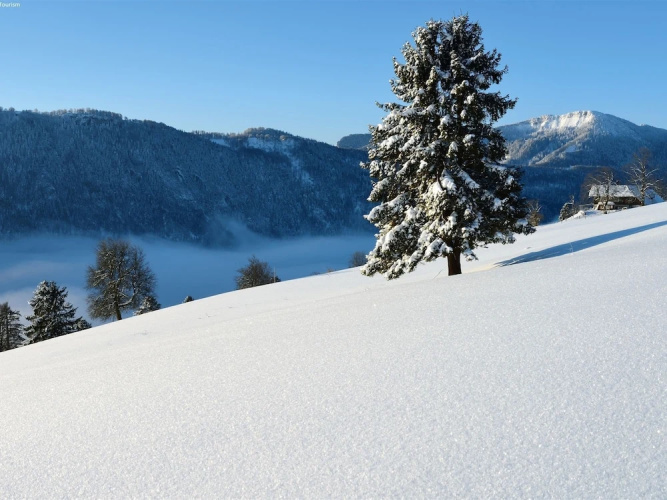 Mountain Chalet With Garden & Parking in Grindelwald