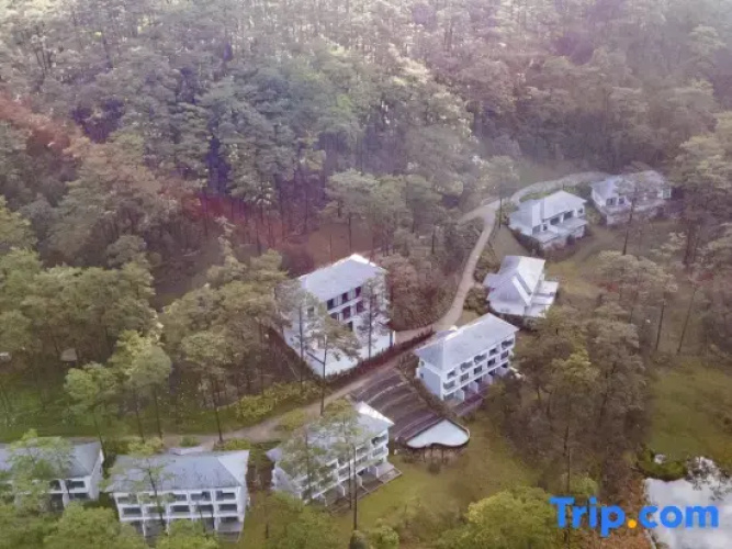 Haven in the Pines