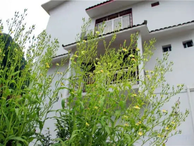 Moon Hill House