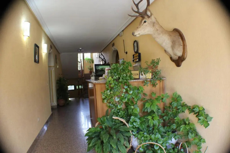 Hotel Las Nieves