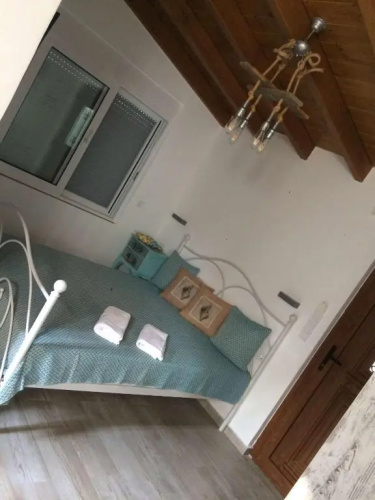 Vitis Vinifera Tranditional Studio Apartment
