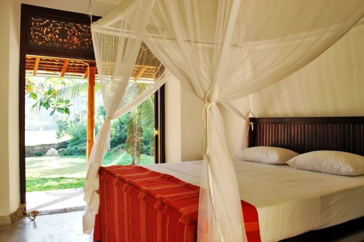 Standard Double room with garden view