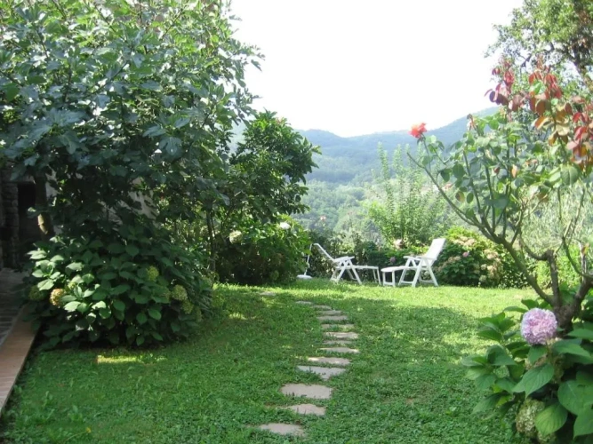 Apartment with garden view