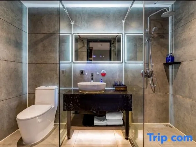 Standard Twin room with city view