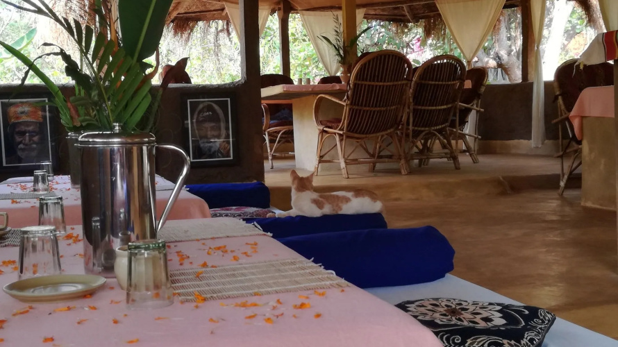 Banyan Tree Yoga