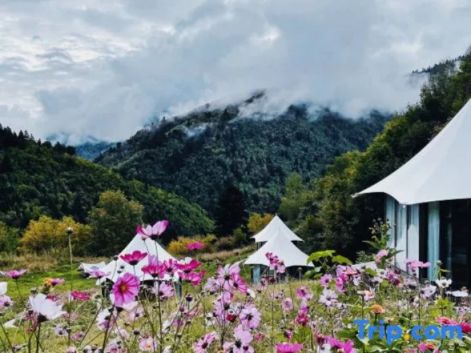 dengfeng·ABuLuZi Glamping