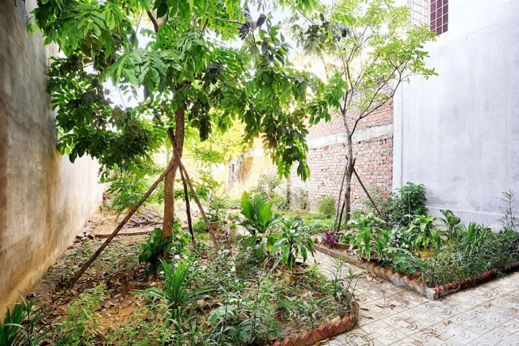 zari house