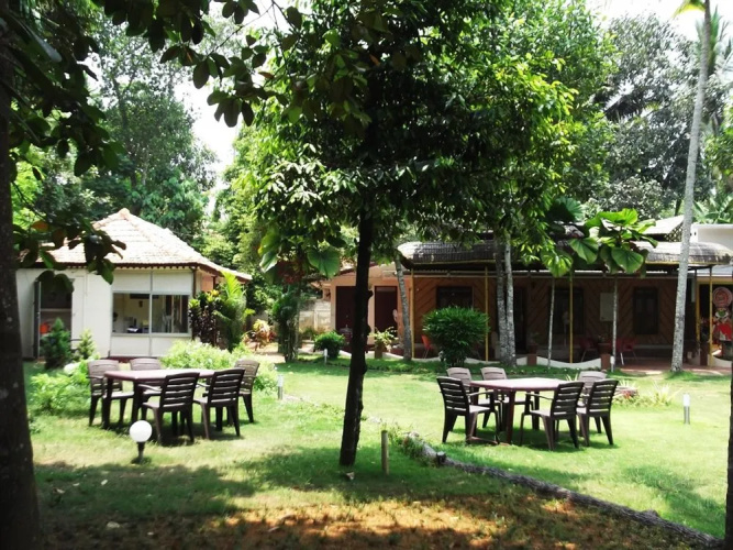 Vedanta Wake Up - Backwaters