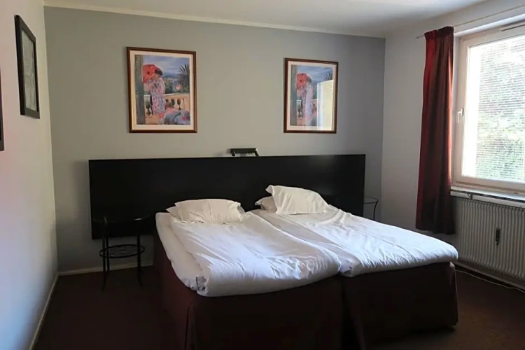 Standard Twin room with view