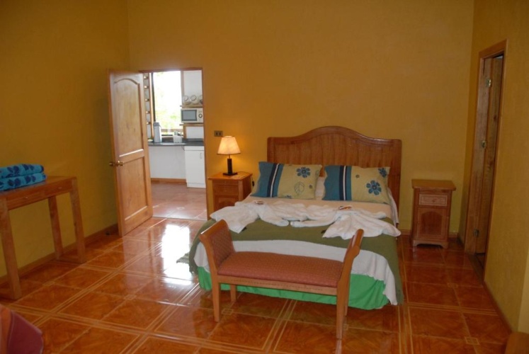 Standard Double room with garden view
