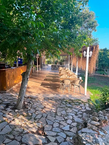 Olympos Paradi̇se Hotel