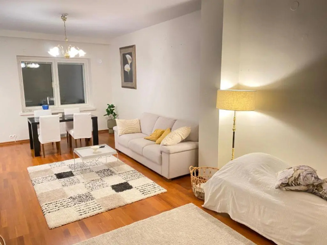 Cozy city apartment