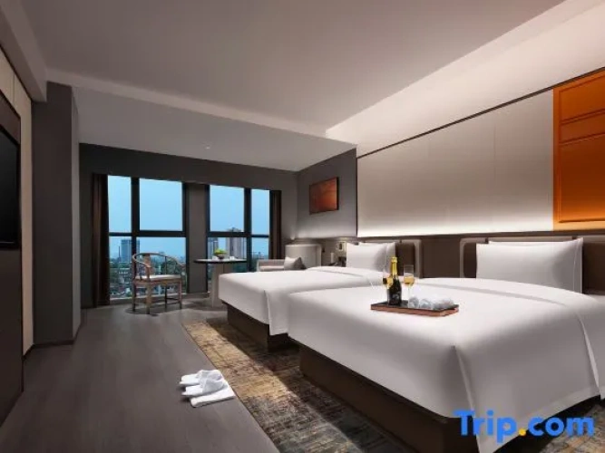 Deluxe Twin room with city view
