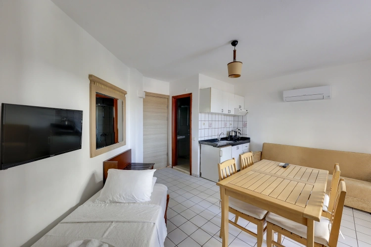 1 Bedroom Apartment