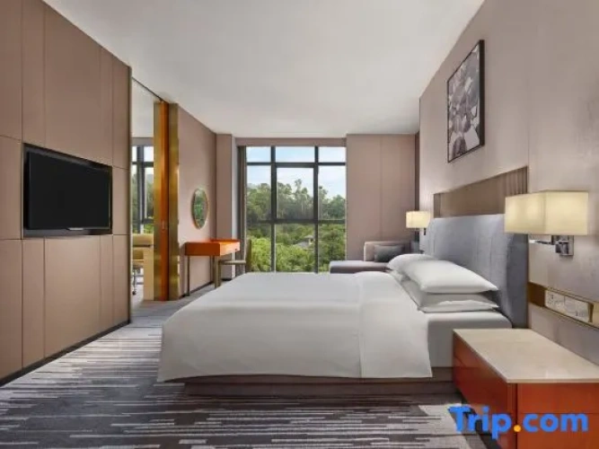 Executive Double Club Suite