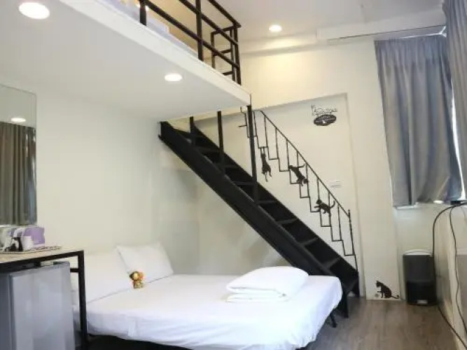 Domi 101 House