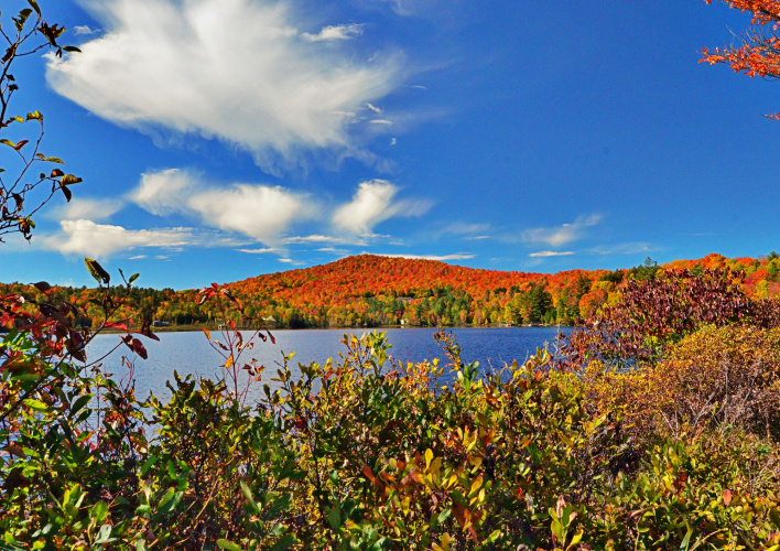 Best Western Saranac Lake photo 21
