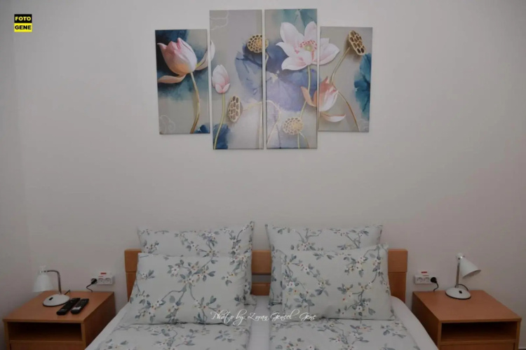 Apartment No 11
