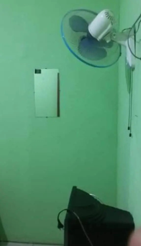 Penginapan Istana