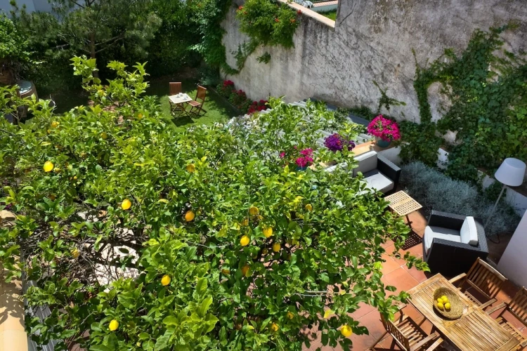 Deluxe Double room with garden view