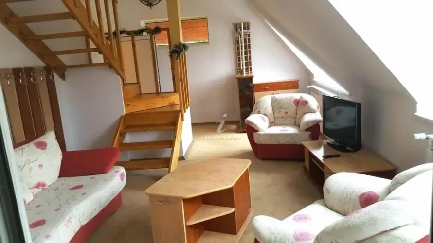 Standard Suite