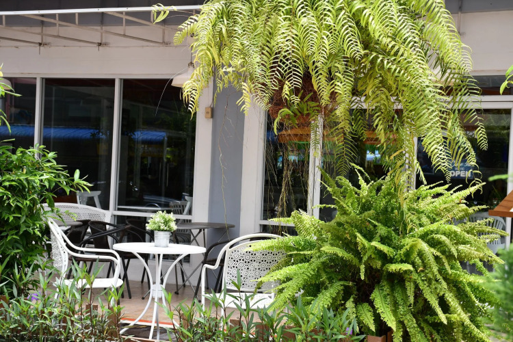 Wangcome Hotel Over view