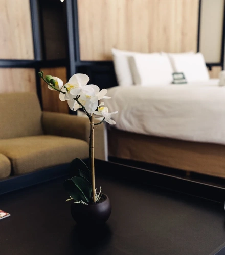 Business room