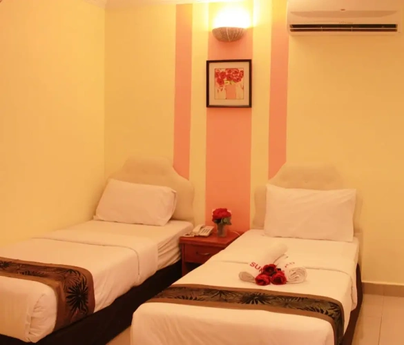 Deluxe Twin Family room