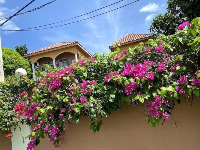 2 Bedrooms Villa