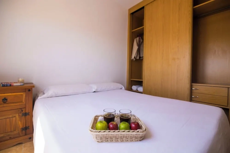 1 Bedroom Standard Apartment