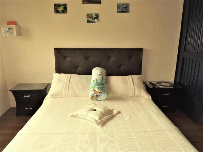 Standard Double room with garden view