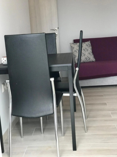 Elsa home