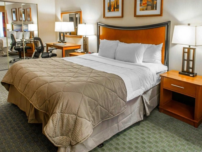 Double Suite