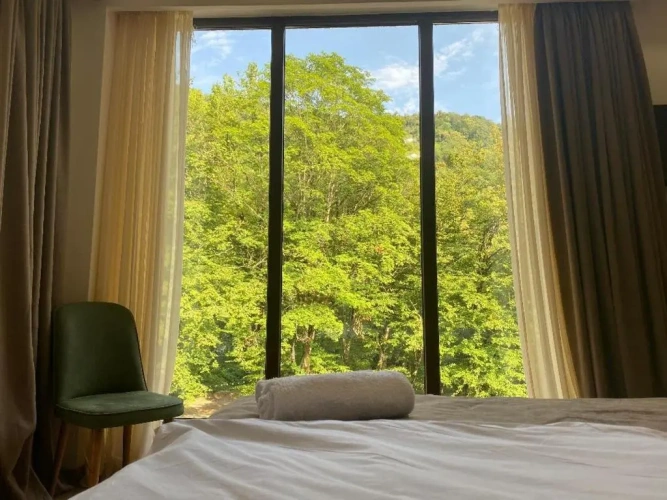 Standard Double room with mountain view