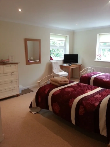 Standard Twin room with garden view