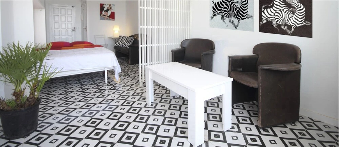 Sunrise Studio Zebra