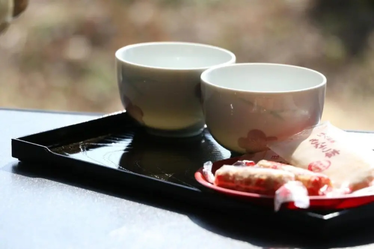 Minshuku Shiroyama