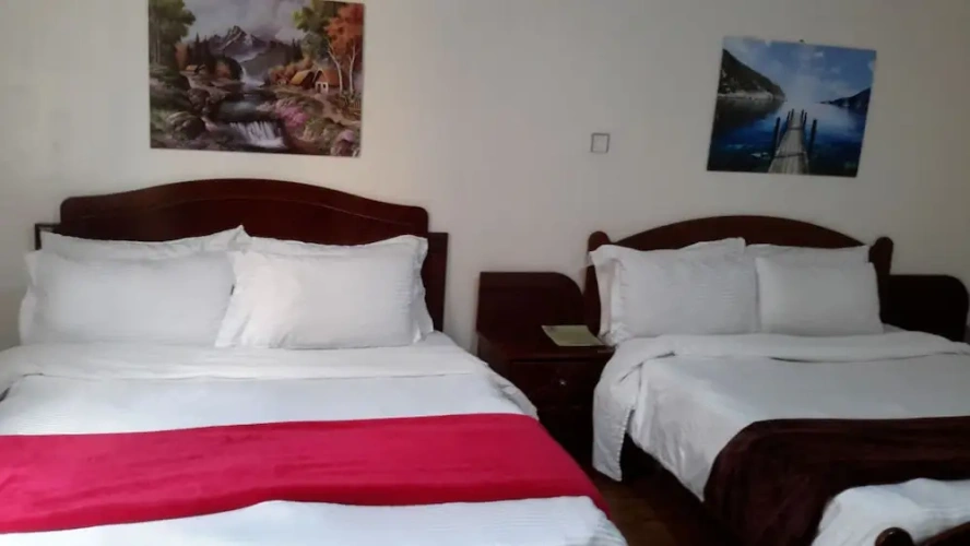 Standard Twin room with city view