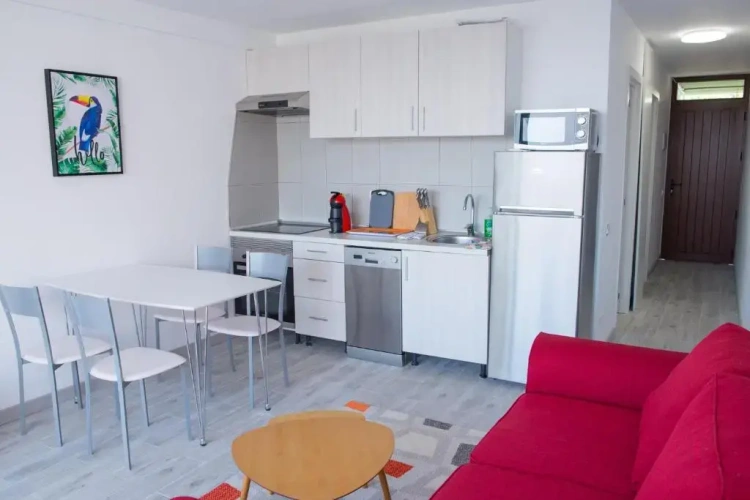 1 Bedroom Apartment