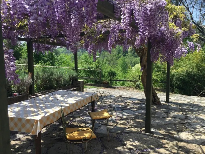 Celi Di Luna