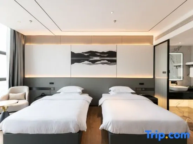 Deluxe Twin room with city view
